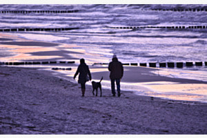 Tag am Meer 