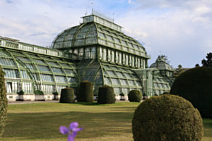 Palmenhaus