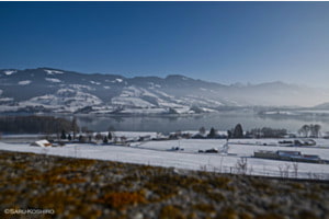 Gruyeres