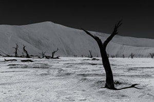 Dead Vlei
