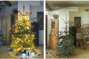Heisse Weihnachten Januar 2025