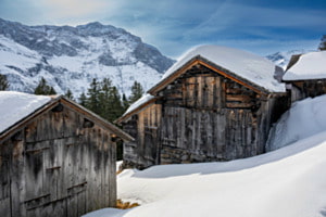 Winter bei Elm