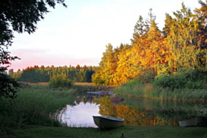 Herbst in Finnland