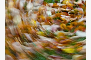 Herbststurm