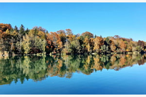 Herbstliche Vielfalt