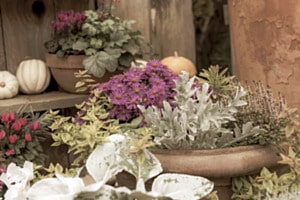 Herbstliche Blumenschale