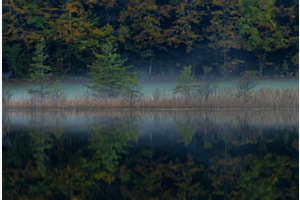 Spiegelung 