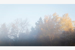 Herbstnebel