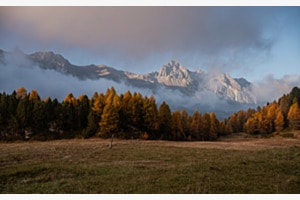 Herbststimmung