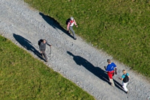 Wanderweg im Gegenlicht Wanderweg im Gegenlicht