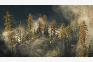 Engadin 