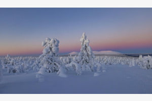 Winterwunderland