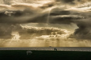 Husum