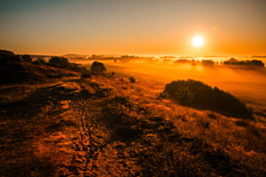 Über dem Morgennebel