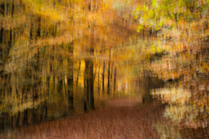 Herbstwal