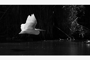 Stille im Flug Stille im Flug