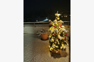 Unser Wald-Christbaum