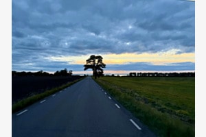Die blaue Dämmerung