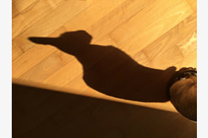 Wer bin ich ? Wer bin ich ?