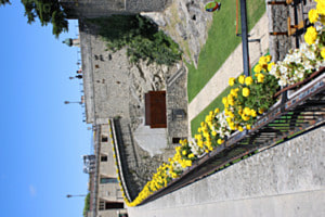 Blumen Polonaise