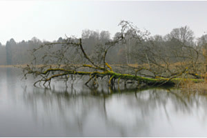 Stille am See
