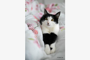 Duvet douillet 
