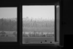 Ausblick Ausblick