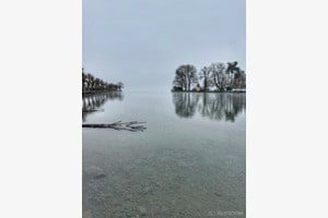 Stille