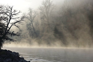 an der Aare bei Sonnenaufgang