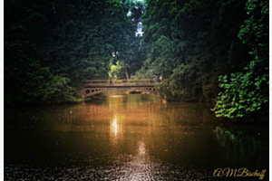 Genussvoller Spaziergang 