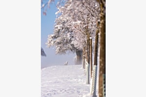 Winterstille
