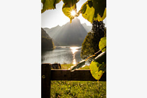 Sonnenstern