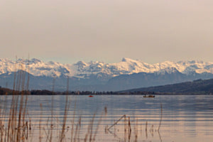 Hallwilersee