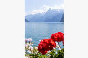 Vierwaldstättersee 