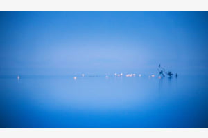 Camargue im Winter Camargue im Winter