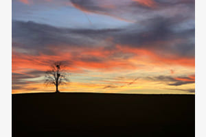 Linde