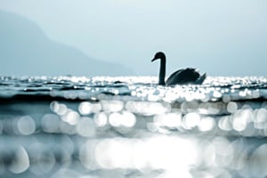 Wunder Wasser