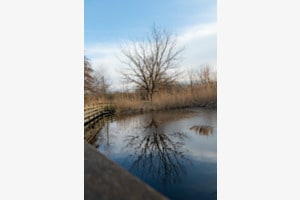 Blauer Sursee