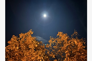Herbstmond