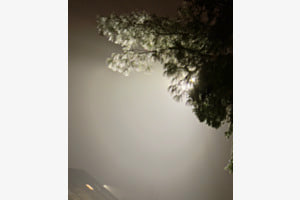 Ein Licht im dichten Nebel…