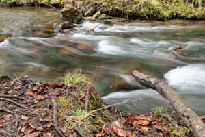 Verträumtes Wasser Verträumtes Wasser