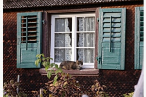 Sonne geniessen