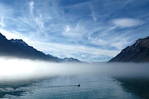 Vom Nebel verzaubert