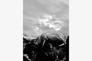 Alpen Rosswald 