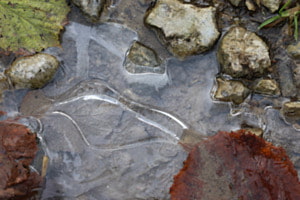 Gefrorene Pfütze
