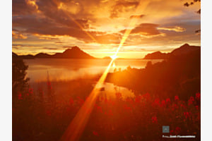 Lofoten Glow