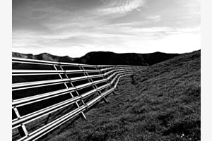 "BARRIER"