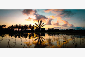 Dreamland Dreamland