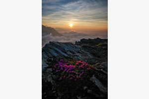 Perfekter Start in den Tag