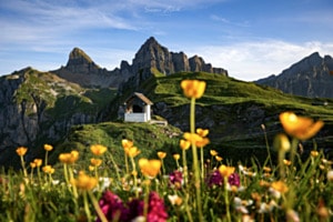 Bergfrieden